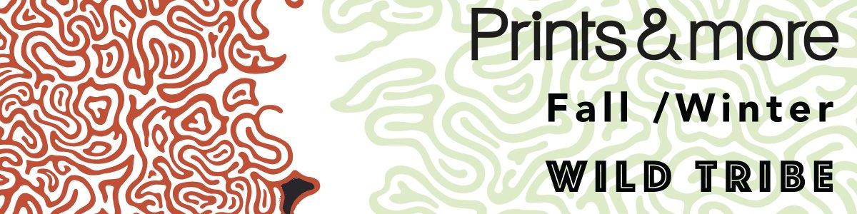 PMTT11DV