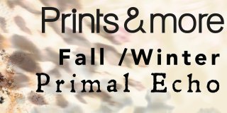 ‎ 
NOW AVAILABLE AS E-BOOK: Prints & More Primal Echo Fal...